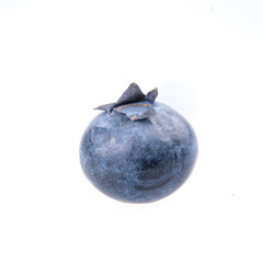 One blueberry on white background - 95874146