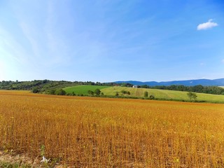 Fototapeta premium Field, hill and sky
