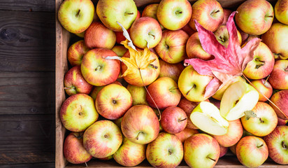 Apples close up.