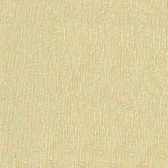 Fototapeta premium abstract decorative stucco texture