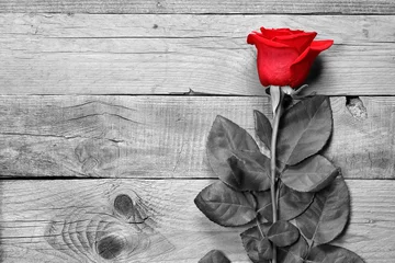 Foto auf Glas Red rose on black and white wooden background © Anatoliy Sadovskiy