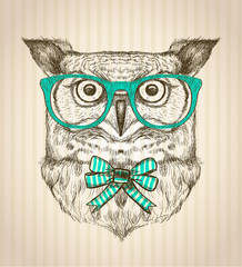 Fototapeta premium Cute card with hand drawn hipster owl dressed in green glasses.