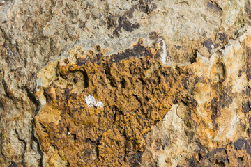 STONE ROCK