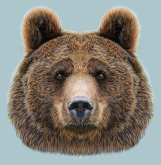 Obraz premium Illustrated Portrait of Bear on blue background