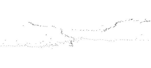 flock of birds on a white background © schankz