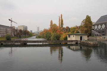 Fototapeta premium Autumn scene in Zurich