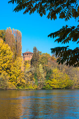 The castle through the vegetation in autumn, Turin