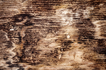 Old wood texture
