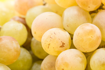 grapes as a background. close