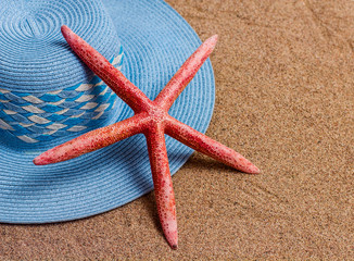 Summer Holiday Travel Starfish