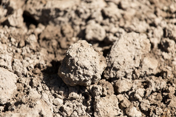 background soil
