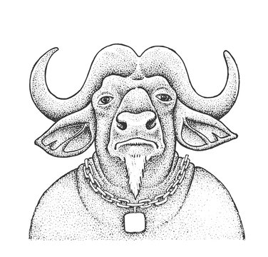 African Buffalo Engraving Illustration