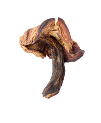 Dried mushrooms on white background