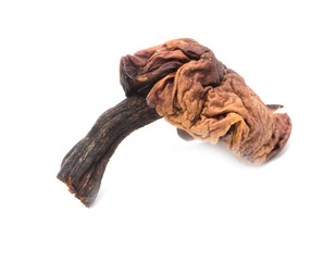 Dried mushrooms on white background