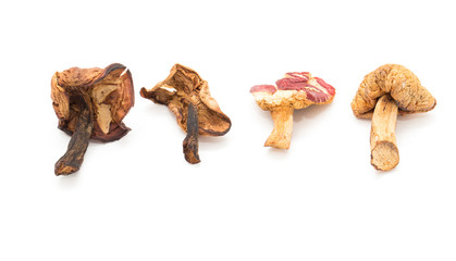 Dried mushrooms on white background