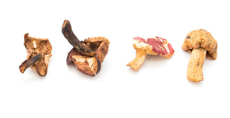 Dried mushrooms on white background