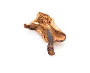 Dried mushrooms on white background