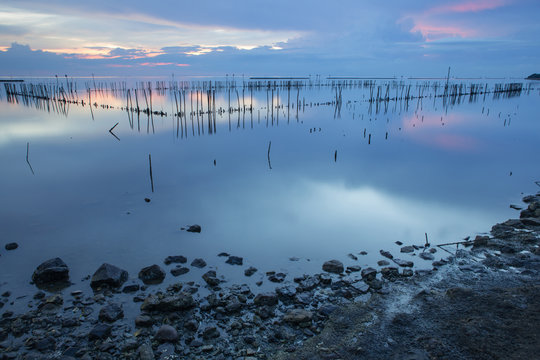 sea
