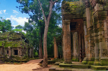 Ta Prohm, part of ancient  Khmer temple complex in jungle.