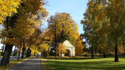 Beautiful Golden Autumn in Wejherowo,Poland