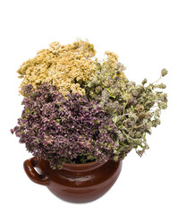 Bunch of herbs. Yarrow, oregano and thyme in clay pot isolated on white background.
