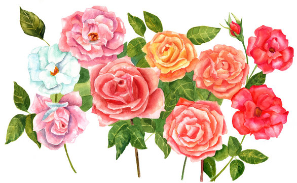 Watercolor bouquet of pink, red, and golden roses, vintage style