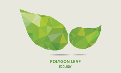Vector polygonal style illustration of leaf.
