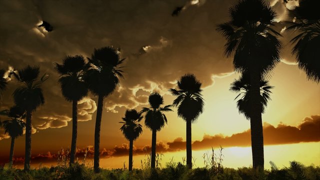 Tropical jungle background with palm tree silhouettes at sunset