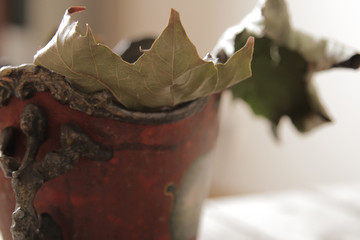 Vintage French red vase and dry leaves