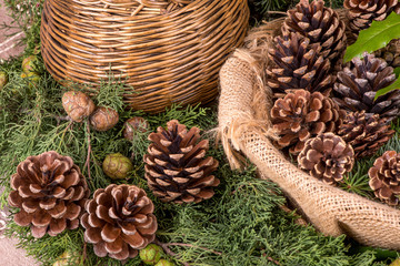 Christmas decoration with fir branches, mistletoe, wood cookies and gifts