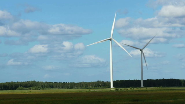 Wind Turbines in the fields, white Wildmill 