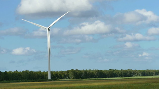Wind Turbines in the fields, white Wildmill 