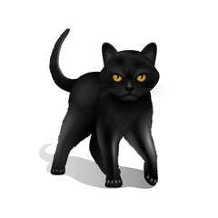 Black Cat Realistic