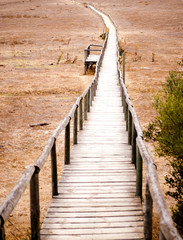 Obraz premium landscape of a lake full of birds at dawn