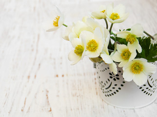 Obraz na płótnie Canvas Anemone flowers