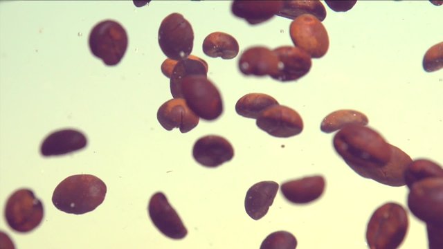 coffee beans floating in water. Slow motion 240 fps.