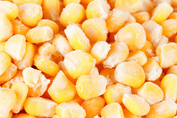 Frozen corn close up