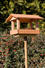simple bird feeder