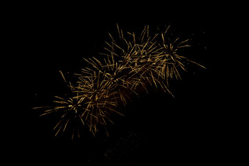 Fireworks in the night sky