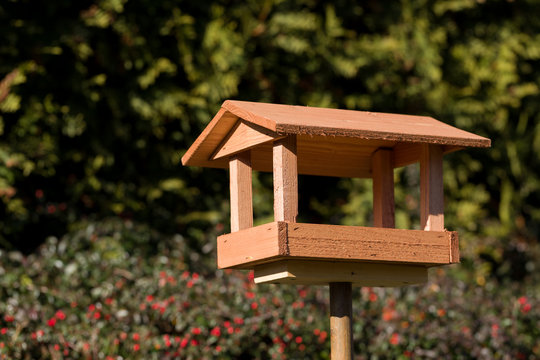 simple bird feeder