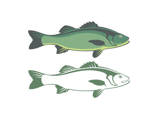 seabass