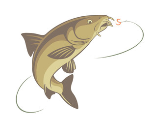 fish barbel
