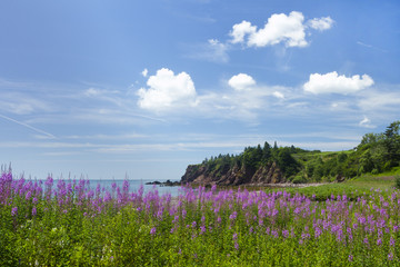 Coastal beauty of New Brunswick province in Canada