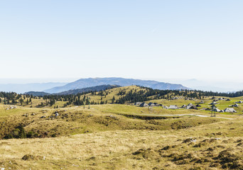 Fototapeta na wymiar Mountains in autumn with pines forest, grass field on Velika Planina, Slovenian alps, Europe 