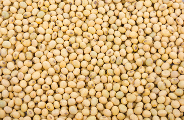 Close up shot of soybeans food background.