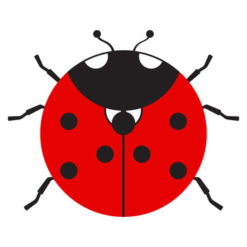 Flat icon ladybug on white background. Isolated. Vector.