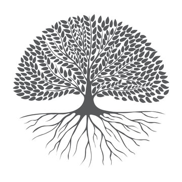 Black and white drawing of deciduous tree. Black silhouette. Vector image.