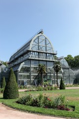 Fototapeta na wymiar Greenhouse in park of la tête d'or in Lyon, France