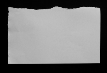 Ripped paper, space for copy
