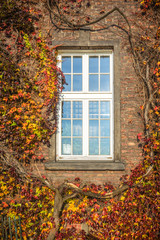 Autumn window in a Gothic building as background